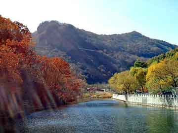 澳门天天免费精准大全，灵山seo程序